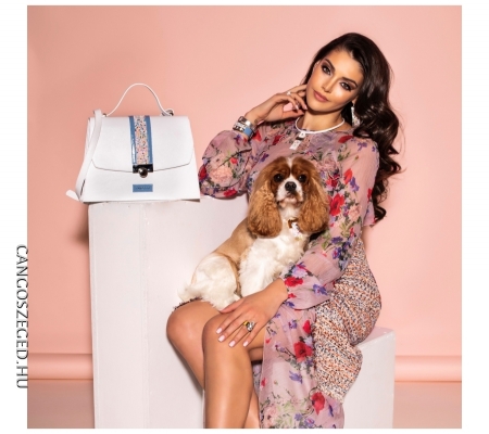 Pasztell, mozaik, bambusz, pillangó